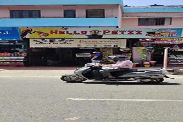 Image of: Hello Pets